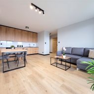 Mieszkanie na wynajem